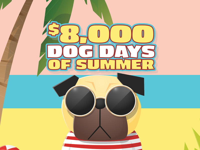 $8,000 Dog Days of Summer