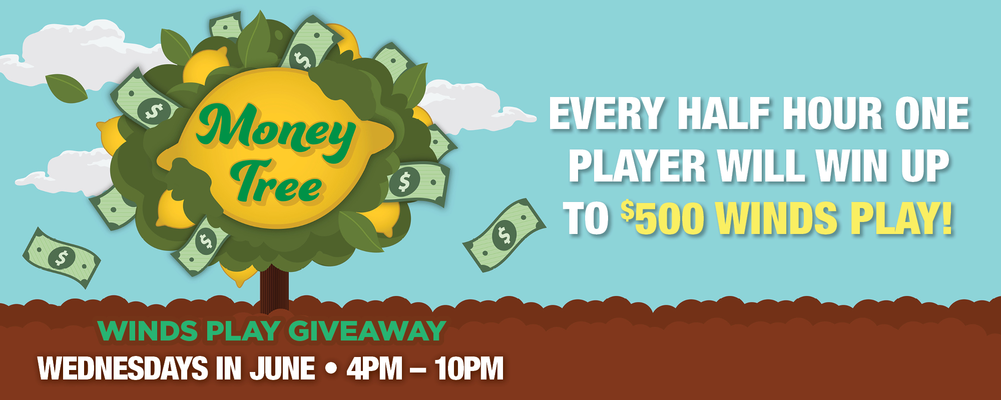 Money Tree WINDS Play GIveaway