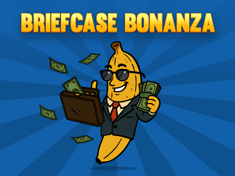 Briefcase Bonanza