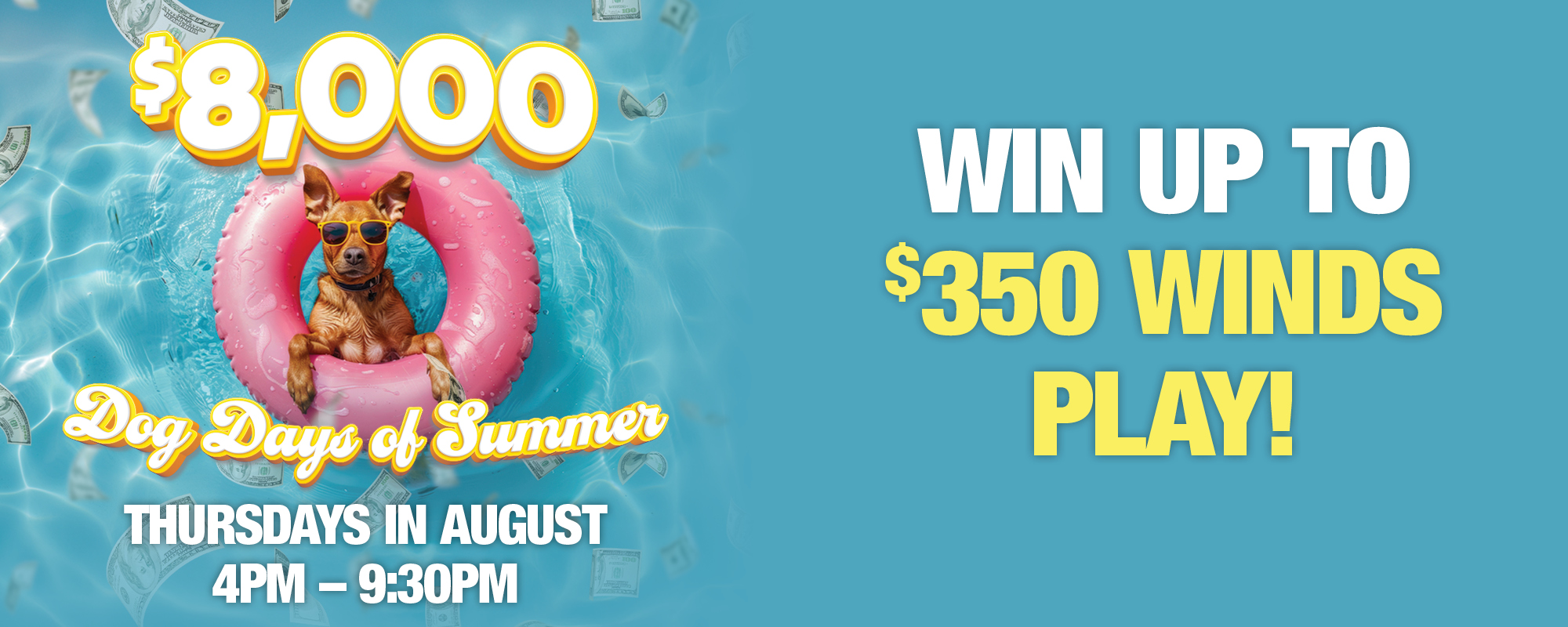 $8,000 Dog Days of Summer