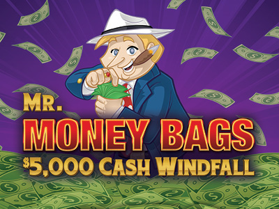 Mr. Money Bags $5,000 Cash Windfall